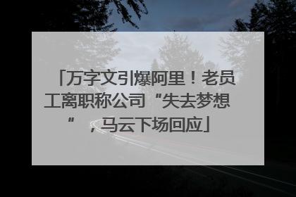 万字文引爆阿里！老员工离职称公司“失去梦想”，马云下场回应