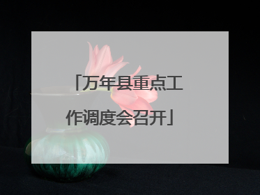 万年县重点工作调度会召开