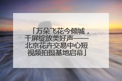 万朵飞花今倾城，千屏绽放美好声——北京花卉交易中心短视频拍摄基地启幕