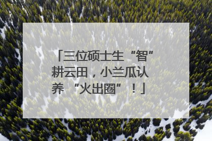 三位硕士生“智” 耕云田，小兰瓜认养 “火出圈”！