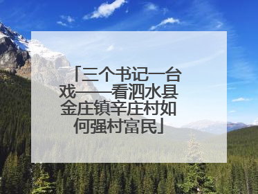 三个书记一台戏——看泗水县金庄镇辛庄村如何强村富民