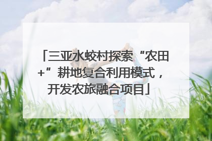 三亚水蛟村探索“农田+”耕地复合利用模式，开发农旅融合项目