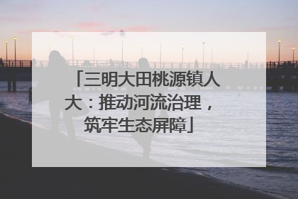 三明大田桃源镇人大：推动河流治理，筑牢生态屏障