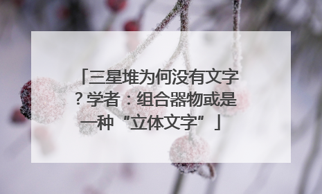 三星堆为何没有文字？学者：组合器物或是一种“立体文字”