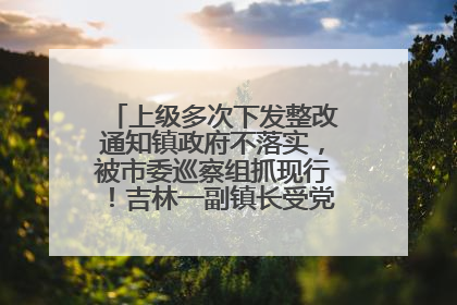 上级多次下发整改通知镇政府不落实，被市委巡察组抓现行！吉林一副镇长受党内警告处分
