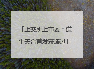 上交所上市委：道生天合首发获通过