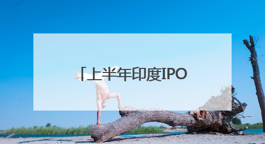 上半年印度IPO市场失速，下半年能否重拾动力？