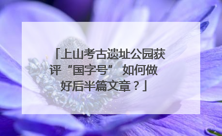 上山考古遗址公园获评“国字号” 如何做好后半篇文章？