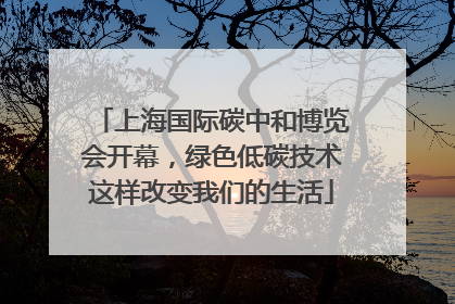 上海国际碳中和博览会开幕，绿色低碳技术这样改变我们的生活