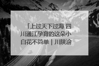 上过天下过海 四川通江孕育的这朵小白花不简单｜川陕渝网络名人巴中行