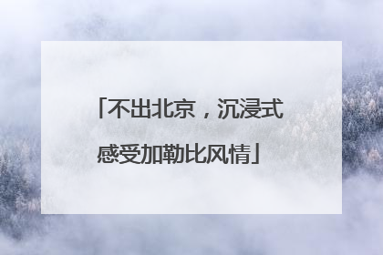 不出北京，沉浸式感受加勒比风情