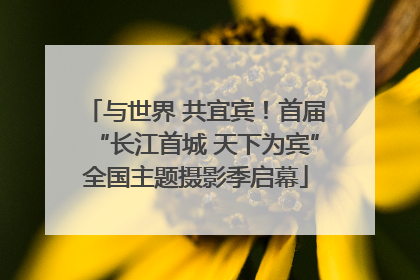 与世界 共宜宾！首届“长江首城 天下为宾”全国主题摄影季启幕