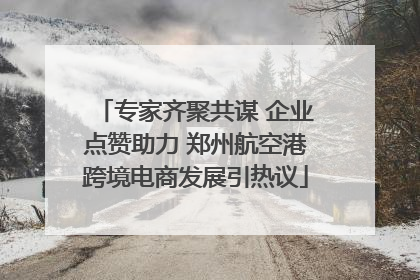 专家齐聚共谋 企业点赞助力 郑州航空港跨境电商发展引热议