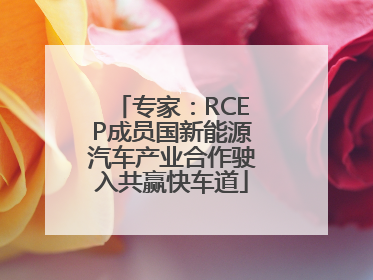 专家：RCEP成员国新能源汽车产业合作驶入共赢快车道