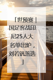 世预赛｜国足客战印尼25人大名单出炉，刘若钒落选