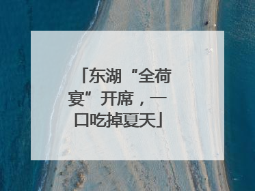 东湖“全荷宴”开席，一口吃掉夏天