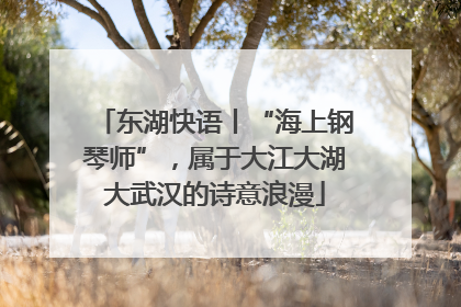 东湖快语丨“海上钢琴师”，属于大江大湖大武汉的诗意浪漫