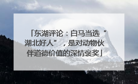 东湖评论：白马当选“湖北好人”，是对动物伙伴道德价值的深情褒奖