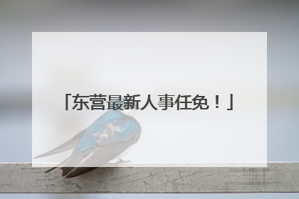 东营最新人事任免！
