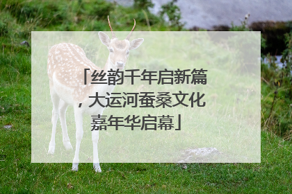 丝韵千年启新篇，大运河蚕桑文化嘉年华启幕