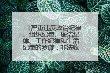严重违反政治纪律、组织纪律、廉洁纪律、工作纪律和生活纪律的罗璇，非法收受他人巨额财物