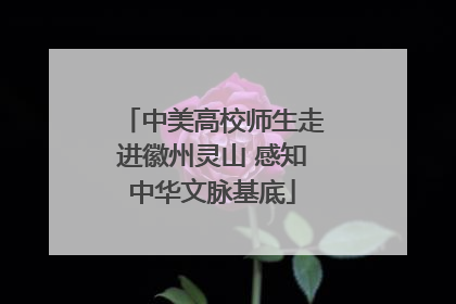 中美高校师生走进徽州灵山 感知中华文脉基底