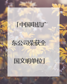 中国电信广东公司荣获全国文明单位