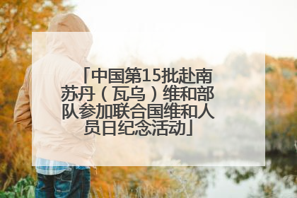 中国第15批赴南苏丹（瓦乌）维和部队参加联合国维和人员日纪念活动