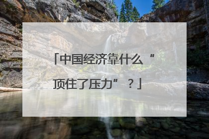 中国经济靠什么“顶住了压力”？