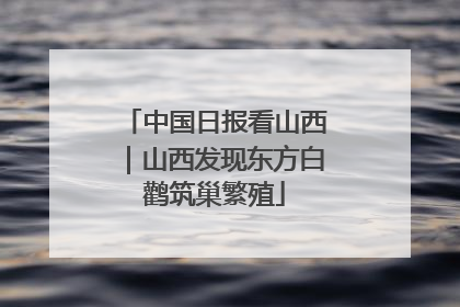 中国日报看山西｜山西发现东方白鹳筑巢繁殖