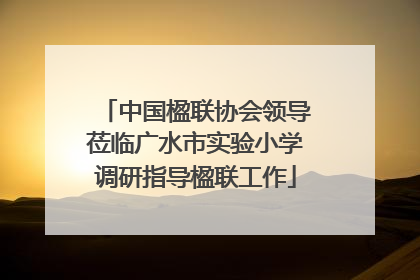 中国楹联协会领导莅临广水市实验小学调研指导楹联工作