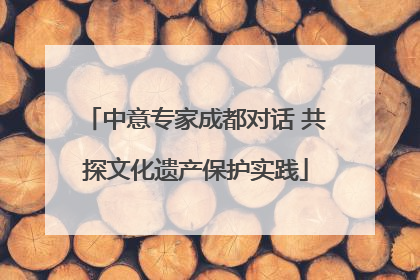中意专家成都对话 共探文化遗产保护实践