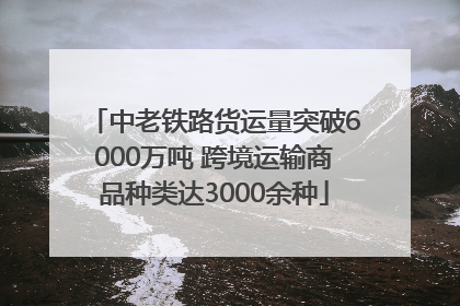 中老铁路货运量突破6000万吨 跨境运输商品种类达3000余种