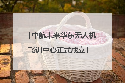 中航未来华东无人机飞训中心正式成立