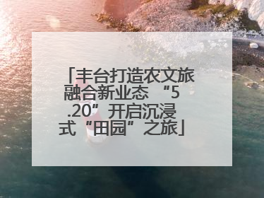 丰台打造农文旅融合新业态 “5.20”开启沉浸式“田园”之旅
