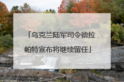 乌克兰陆军司令德拉帕特宣布将继续留任