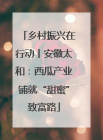 乡村振兴在行动丨安徽太和：西瓜产业铺就“甜蜜”致富路