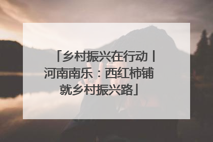 乡村振兴在行动丨河南南乐：西红柿铺就乡村振兴路