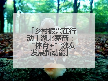 乡村振兴在行动丨湖北茅箭：“体育+”激发发展新动能