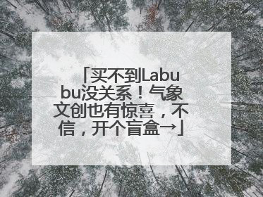 买不到Labubu没关系！气象文创也有惊喜，不信，开个盲盒→