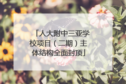 人大附中三亚学校项目（二期）主体结构全面封顶