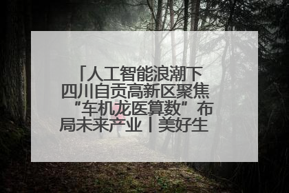 人工智能浪潮下 四川自贡高新区聚焦“车机龙医算数”布局未来产业丨美好生活有“盐”味
