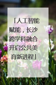 人工智能赋能，长沙跨学科融合开启公共美育新进程