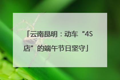 云南昆明：动车“4S店”的端午节日坚守