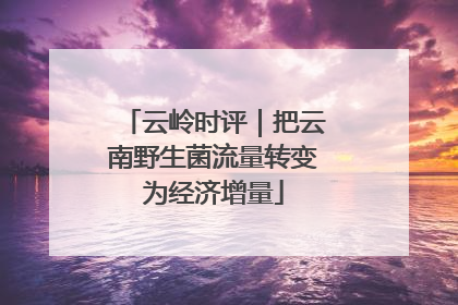 云岭时评｜把云南野生菌流量转变为经济增量