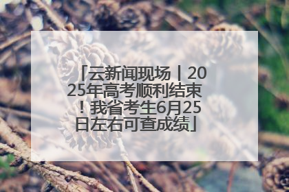 云新闻现场丨2025年高考顺利结束！我省考生6月25日左右可查成绩