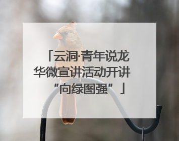 云洞·青年说龙华微宣讲活动开讲“向绿图强”
