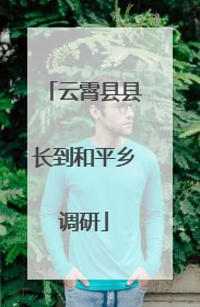 云霄县县长到和平乡调研