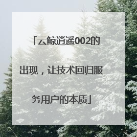 云鲸逍遥002的出现，让技术回归服务用户的本质