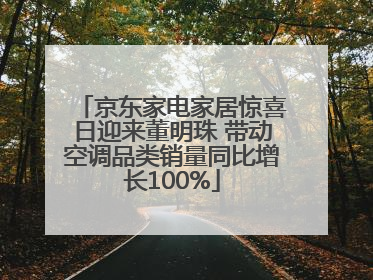京东家电家居惊喜日迎来董明珠 带动空调品类销量同比增长100%